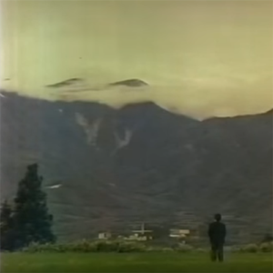 支離滅裂性認知症