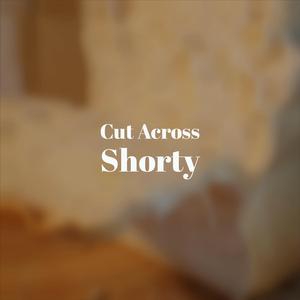 Dreamland Last Night