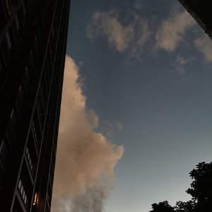 去有风的地方（cover 郁可唯）