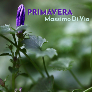 Primavera