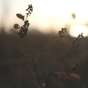 How to Spend Time Until Death