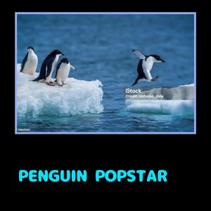 PENGUIN POPSTAR