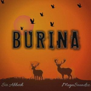 Burina (feat. Megasoundzz)