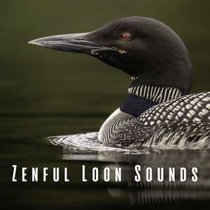Loon's Zenith Echoes
