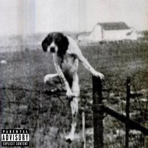 If You're Gonna Run (feat. Wishi 6k, Ec-Stract & Roduzay)