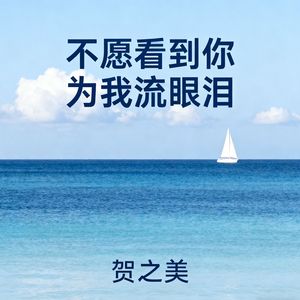 不愿看到你为我流眼泪(伴奏)