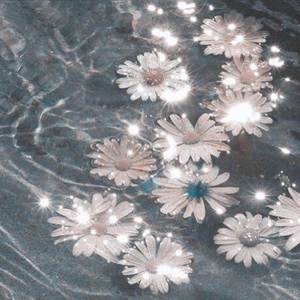 门没锁（翻自 我是土豆）（翻自 品冠）