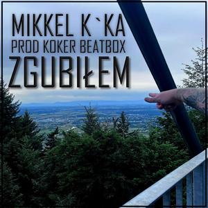 ZGUBIŁEM
