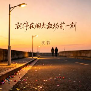 就停在烟火散场前一刻