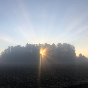 ハレとケ (2023 Remaster)