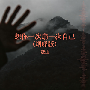 想你一次扇一次自己(烟嗓版)