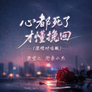 心都死了才懂挽回(深情对唱版)