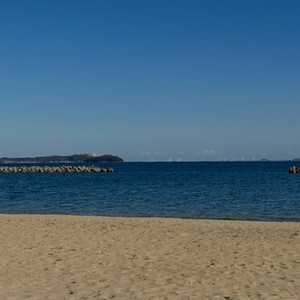 君と僕の夏