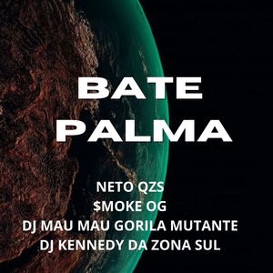 Bate Palma