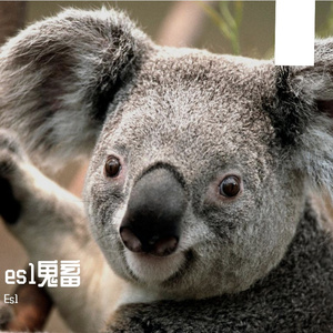 DBboys组合-全世界都在说喜羊羊Remix（Es1 remix）