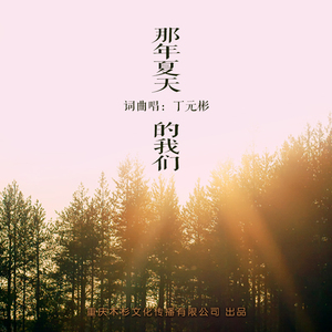 那年夏天的我们