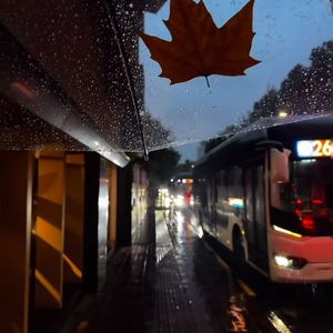 ZEST-Zest（阴云十六 remix）