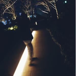 Empty Swimming Pools