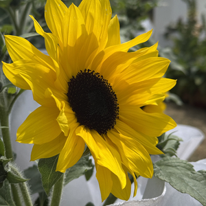 繁星点点