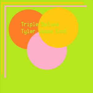 Xeriscaping (Cactus Garden)