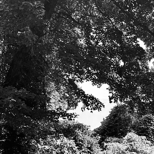 Achromatopsia (feat. prodarmaan)