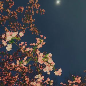 月亮之子(prod.yn1jasper)
