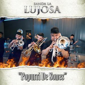 Popurri De Sones (En vivo)