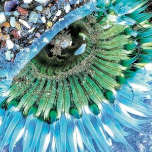 Please Call Me By My True Names