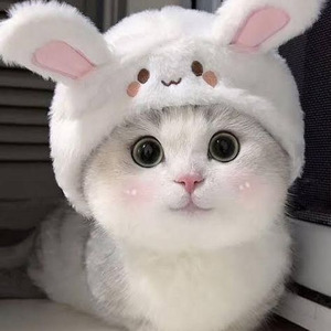 Kiss Me More (slowed)