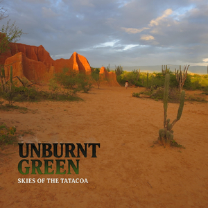 Skies of the Tatacoa