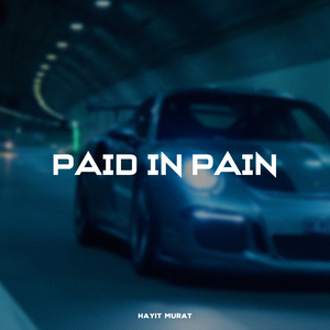 Paid In Pain