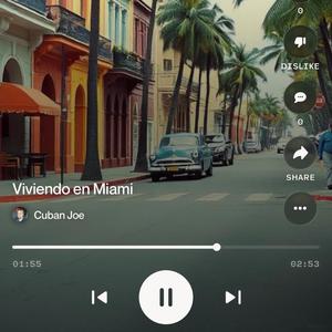 Viviendo en miami