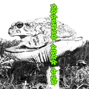 Ｋｏｓｉｍａｚａｋｉ　宇ゥゾ