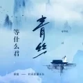 青丝 (DJ墨韩 remix)