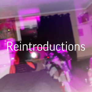 Reintroductions (Demo)