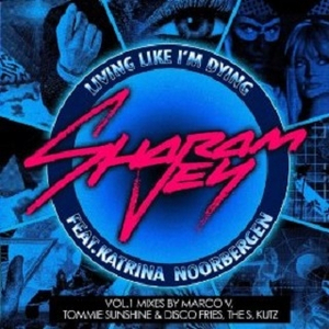 Living Like I'm Dying feat. Katrina Noorbergen (Tommie Sunshine & Disco Fries Remix)