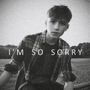 I'm So Sorry