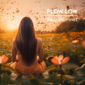 Flow Low