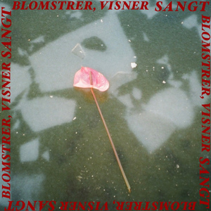 Ventede på en sommerdag