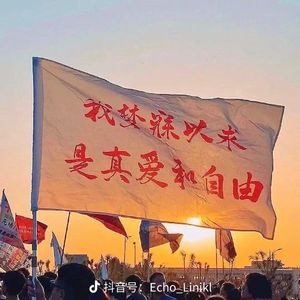 时间轴