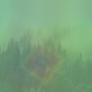 空山鸟语 第三部分 空山