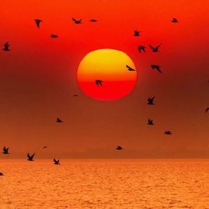 你总要学会往前走抖音