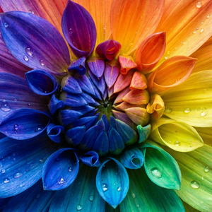 二月十四的秘密.mp3