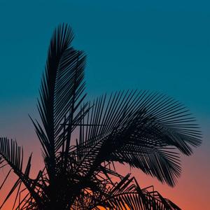 Любить навечно