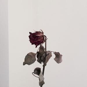 i'm scared, god help me.