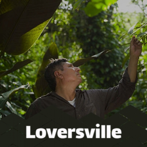 Loversville