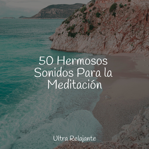 Mañanas Junto Al Mar