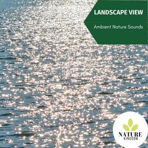 Listening Fire and Wolves Sound