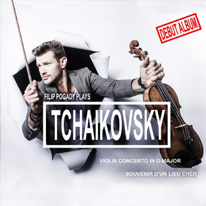 Violin Concerto in D-Major, Op. 35: II. Canzonetta