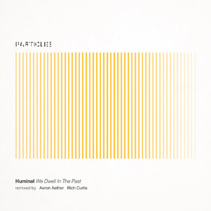 We Dwell in the Past (Aeron Aether Remix)